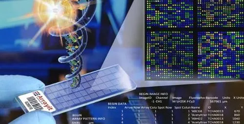 Gene Sequencing: Solving Auto‑Focus and Equal‑Interval Triggering Issues to Enhance Measurement Accuracy and Efficiency